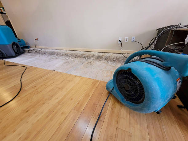 Professional Water Extraction technician working in Onondaga, MI